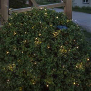 Soldriven LED-ljusslinga Bassis, 10 m lång