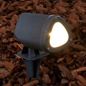 LED-spot Cody med jordspett